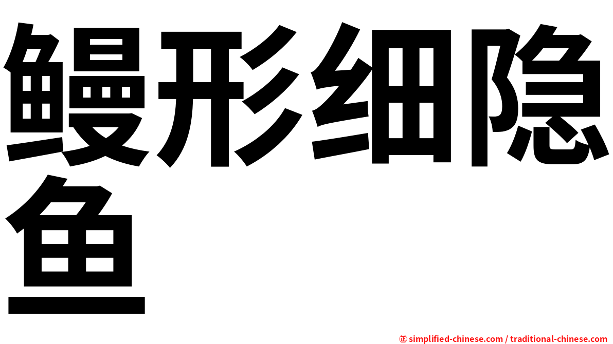 鳗形细隐鱼