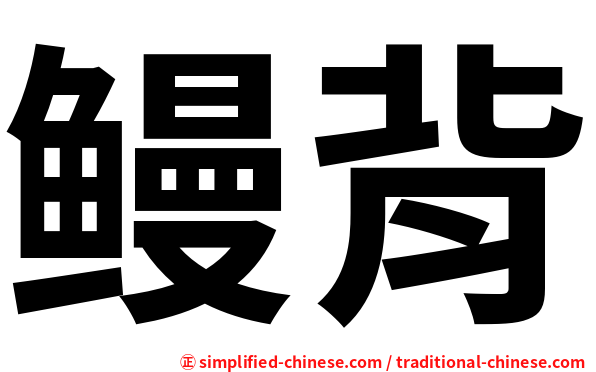 鳗背