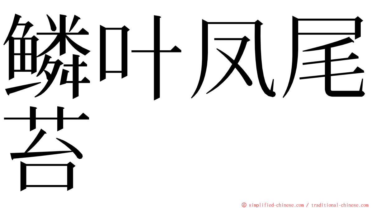 鳞叶凤尾苔 ming font
