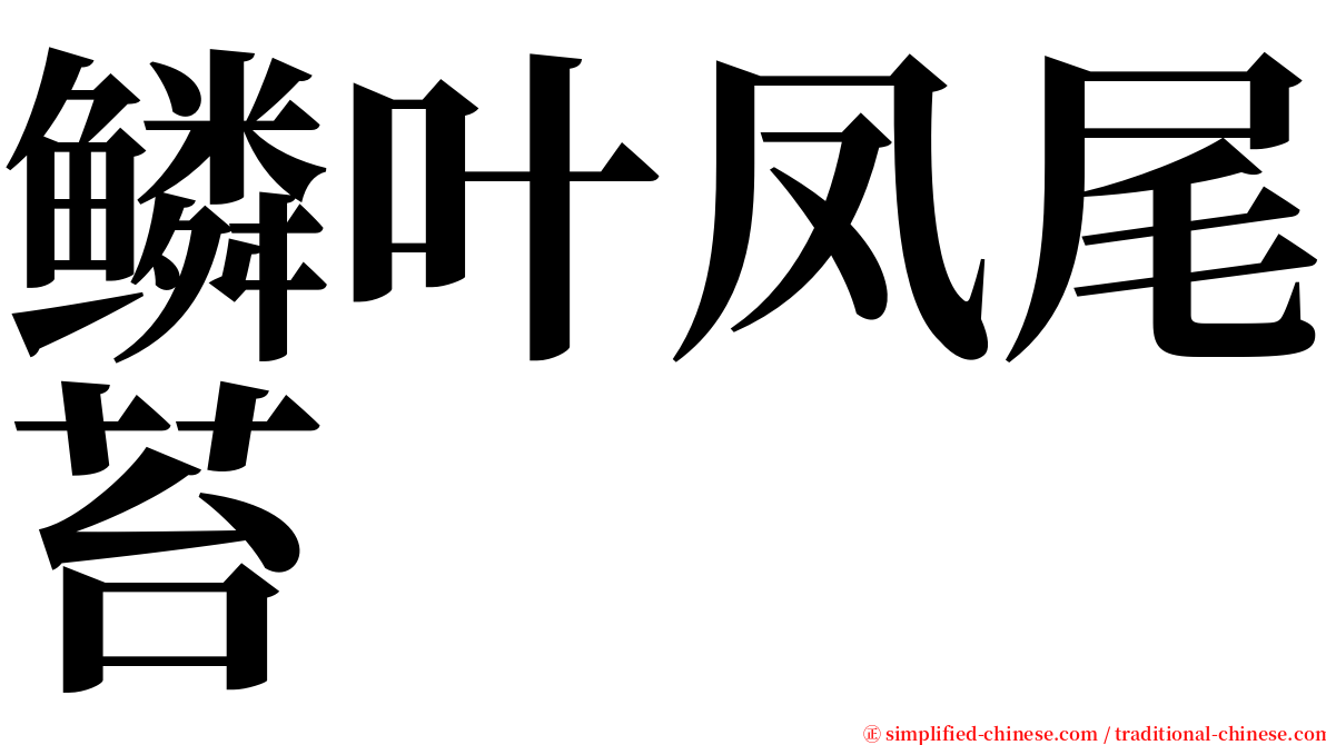 鳞叶凤尾苔 serif font