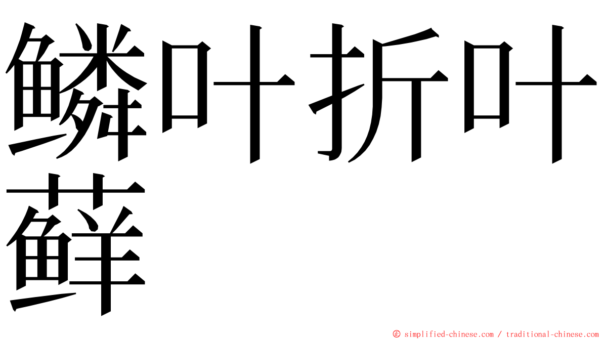 鳞叶折叶藓 ming font