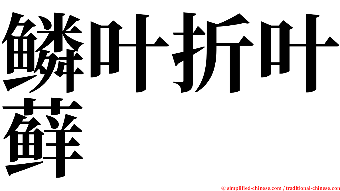 鳞叶折叶藓 serif font