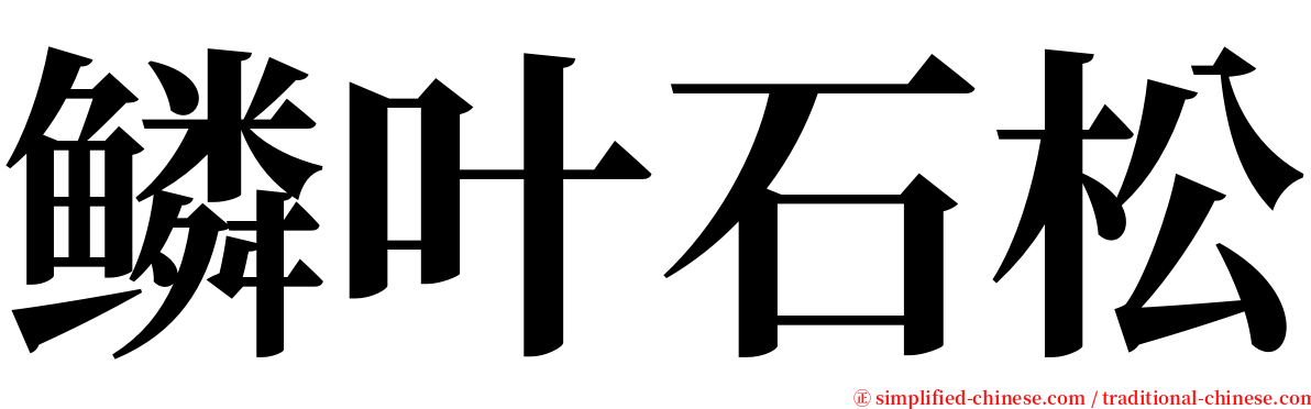 鳞叶石松 serif font