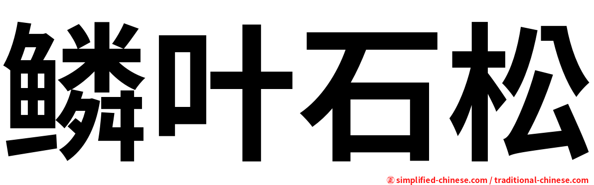 鳞叶石松