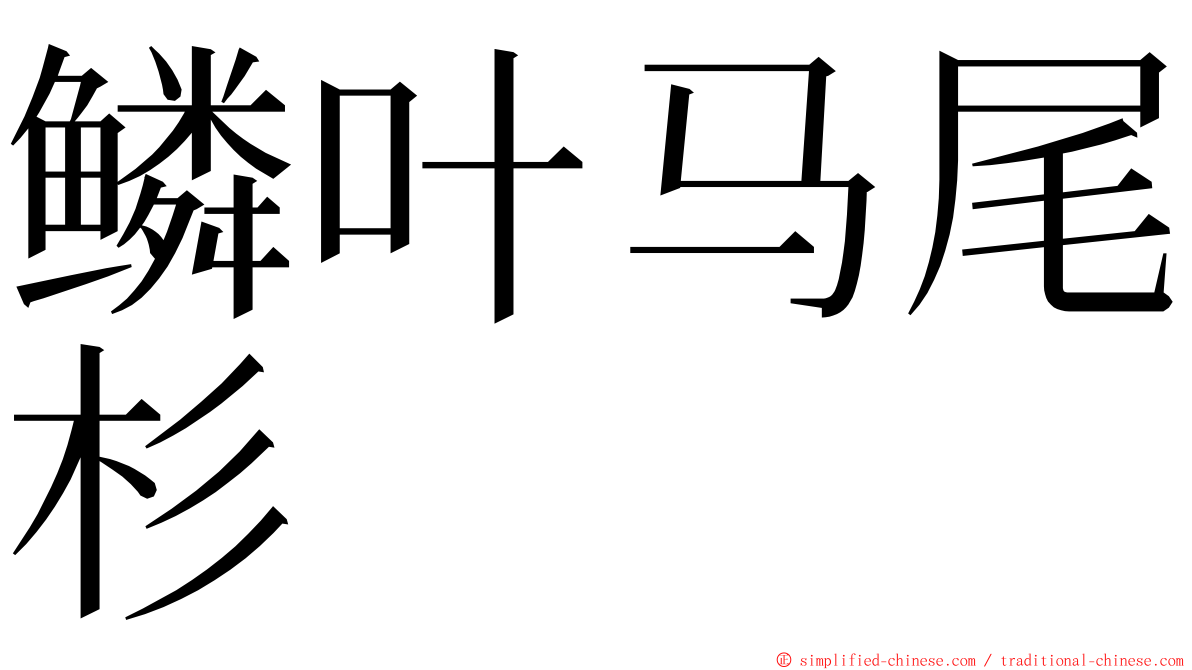 鳞叶马尾杉 ming font