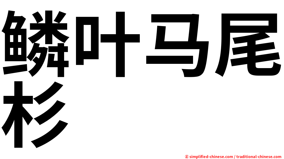 鳞叶马尾杉
