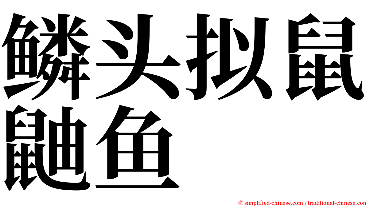 鳞头拟鼠鼬鱼 serif font