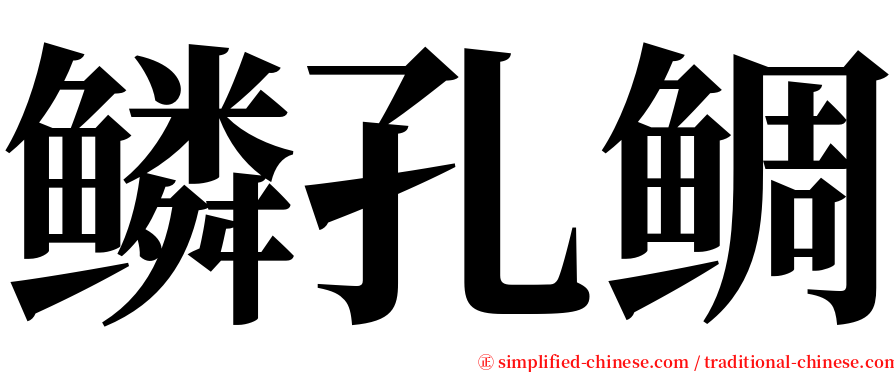 鳞孔鲷 serif font