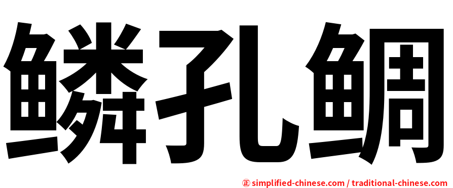 鳞孔鲷