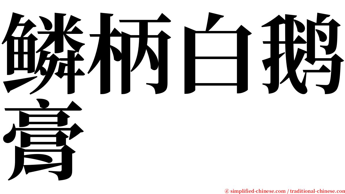 鳞柄白鹅膏 serif font