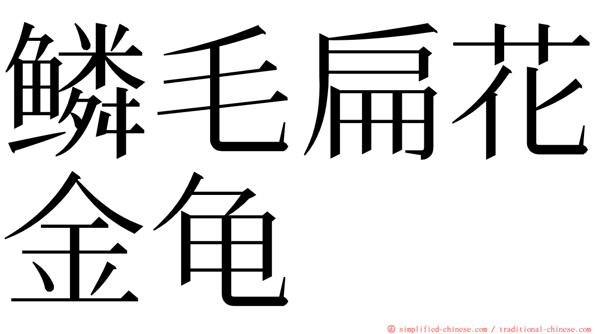 鳞毛扁花金龟 ming font