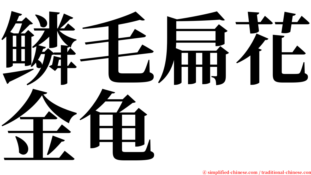 鳞毛扁花金龟 serif font