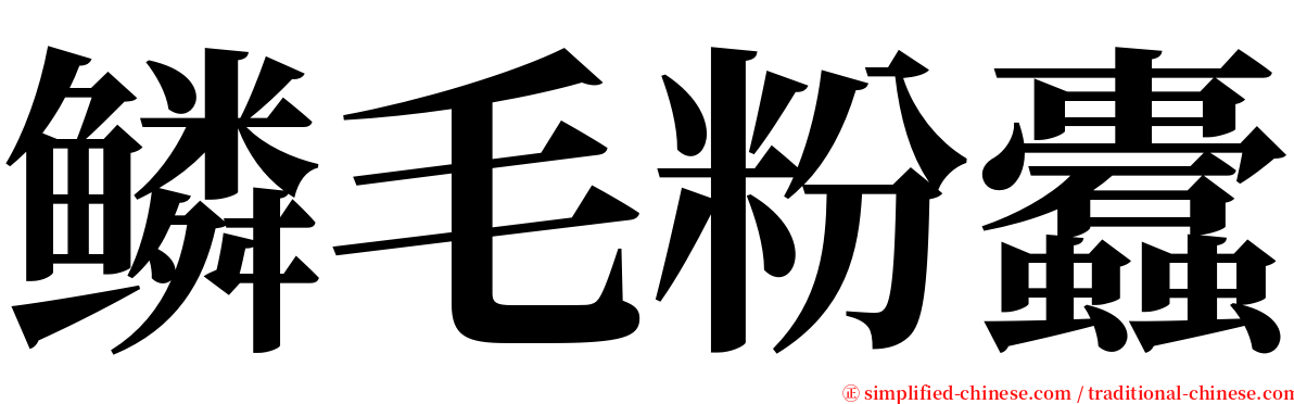 鳞毛粉蠹 serif font