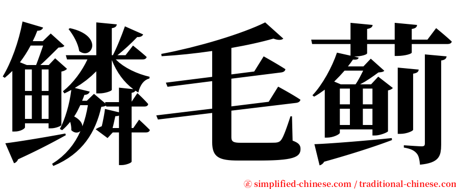 鳞毛蓟 serif font
