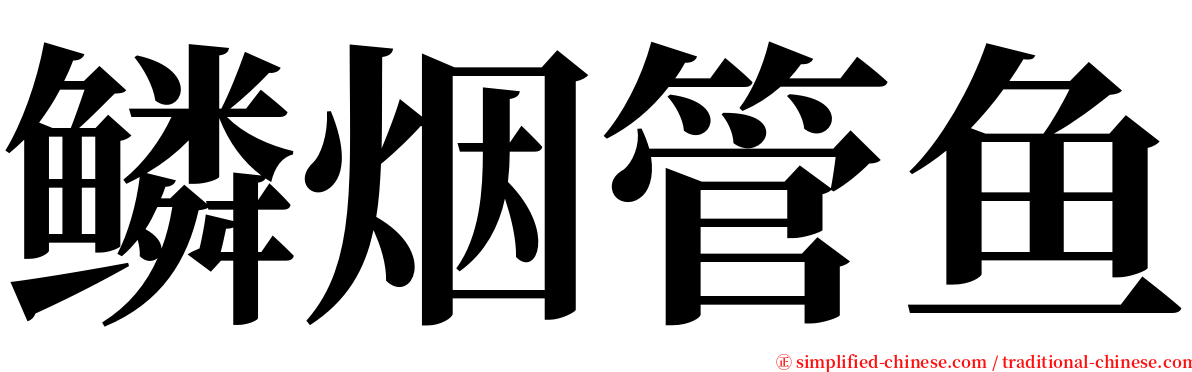 鳞烟管鱼 serif font