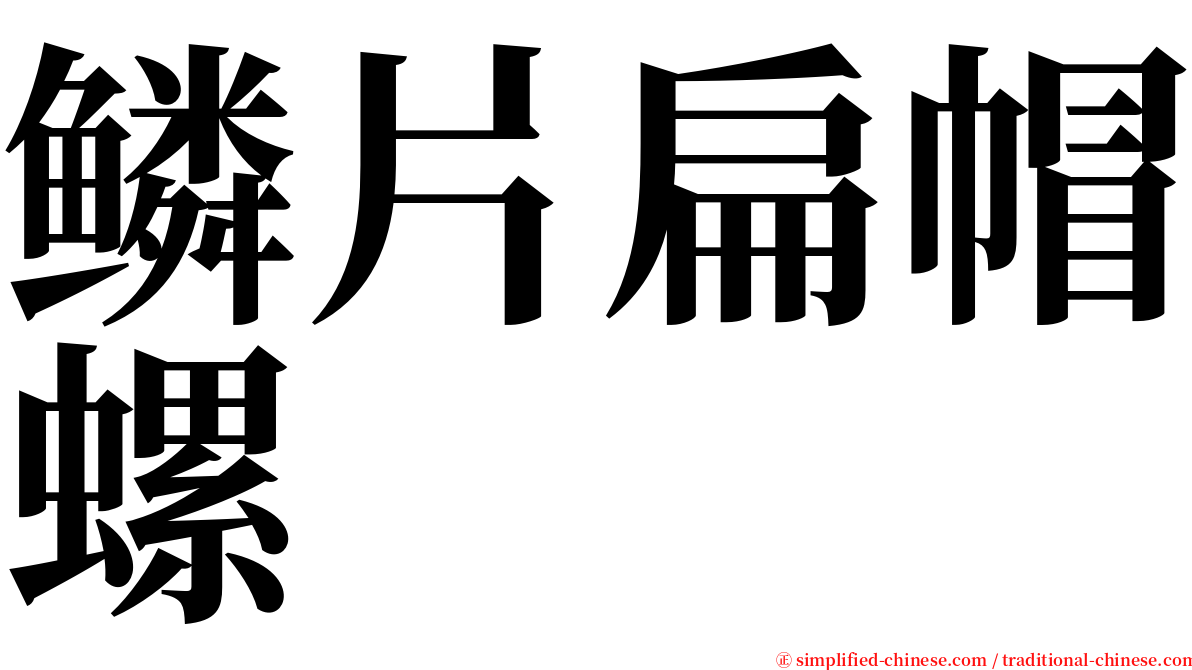 鳞片扁帽螺 serif font