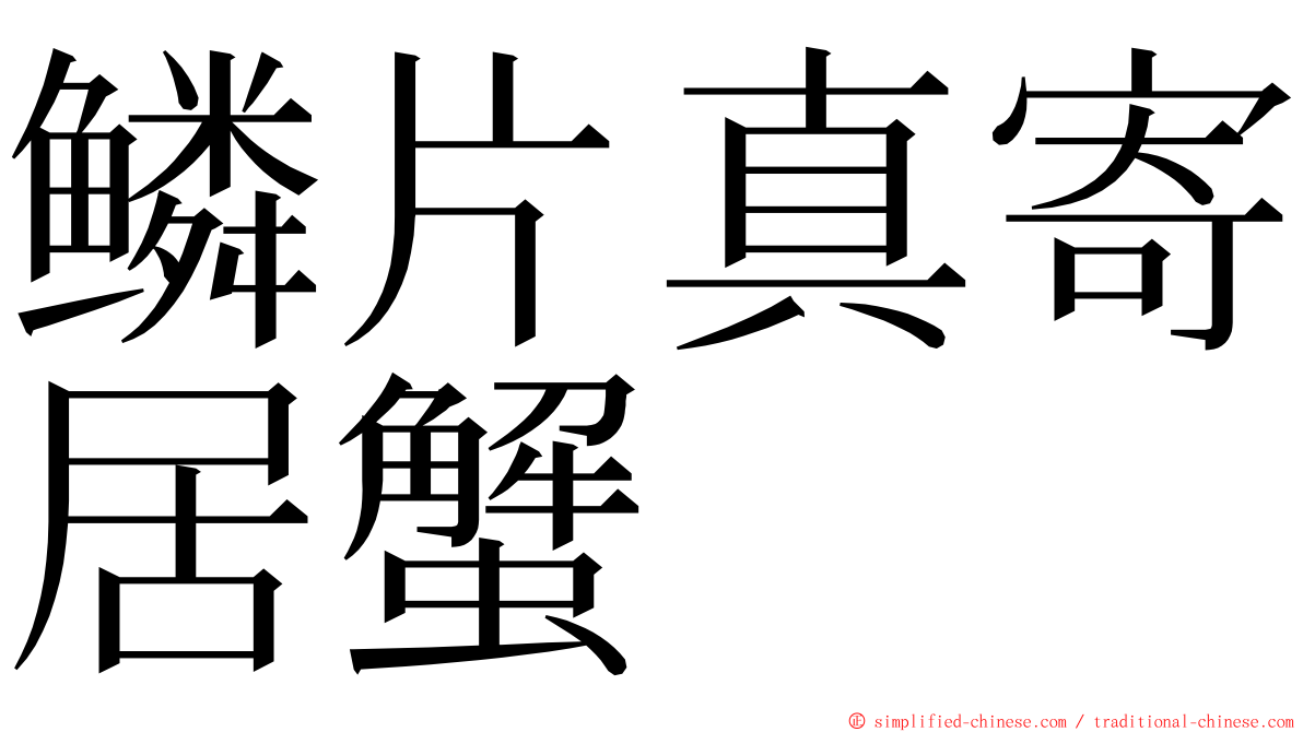 鳞片真寄居蟹 ming font
