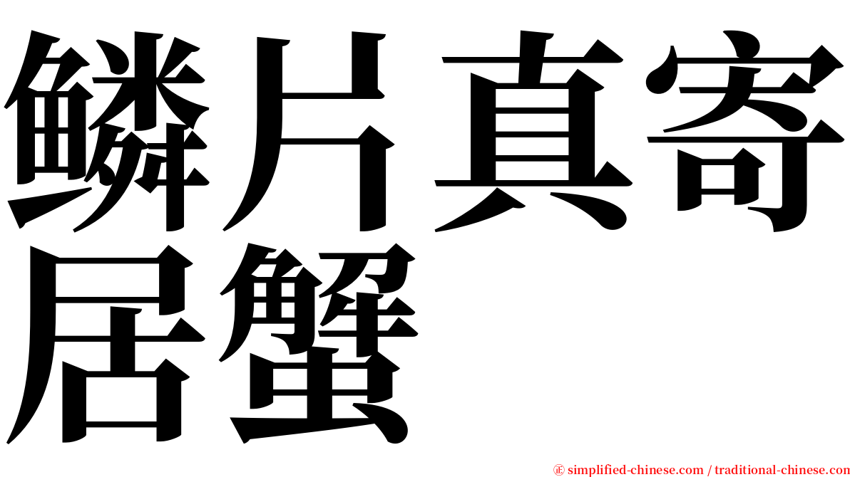 鳞片真寄居蟹 serif font