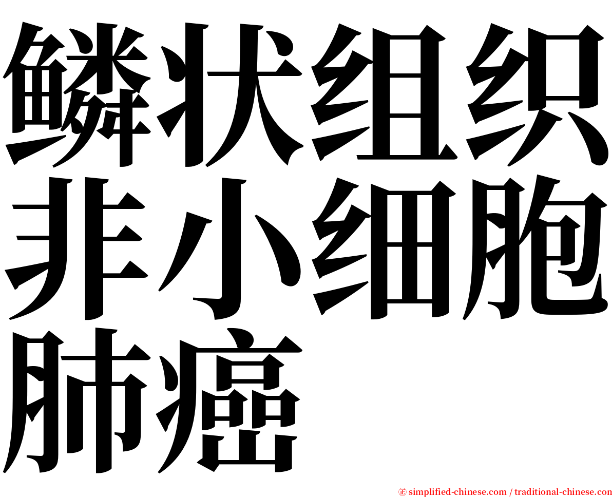 鳞状组织非小细胞肺癌 serif font