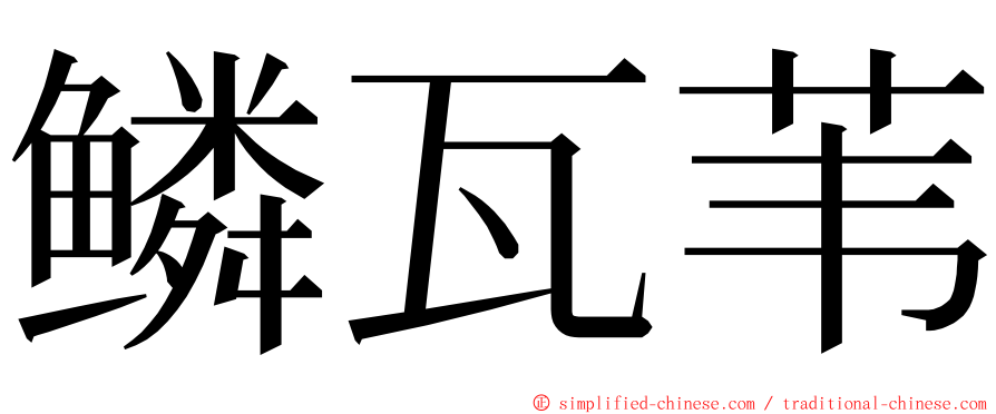 鳞瓦苇 ming font