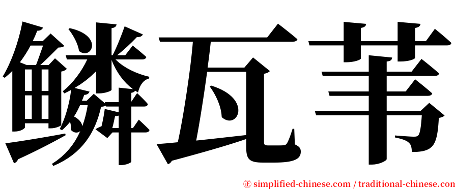 鳞瓦苇 serif font