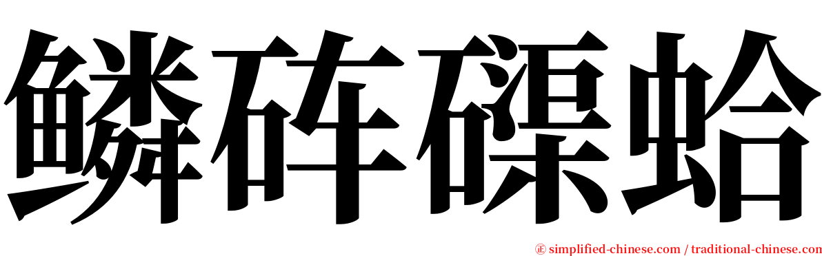 鳞砗磲蛤 serif font