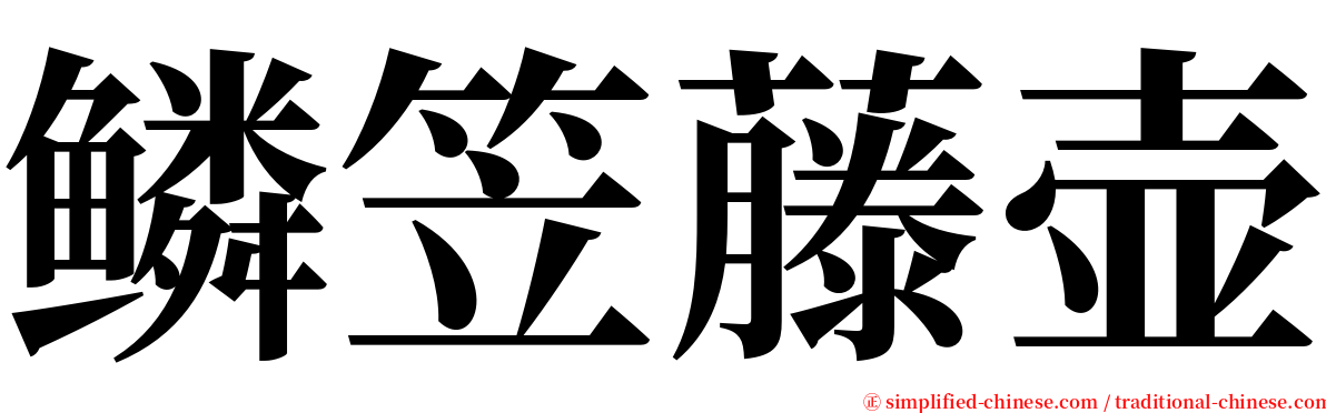 鳞笠藤壶 serif font