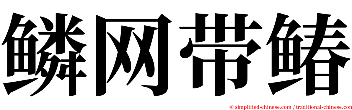 鳞网带䲠 serif font