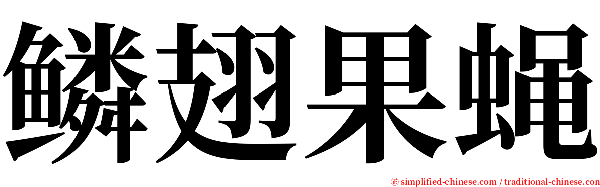 鳞翅果蝇 serif font