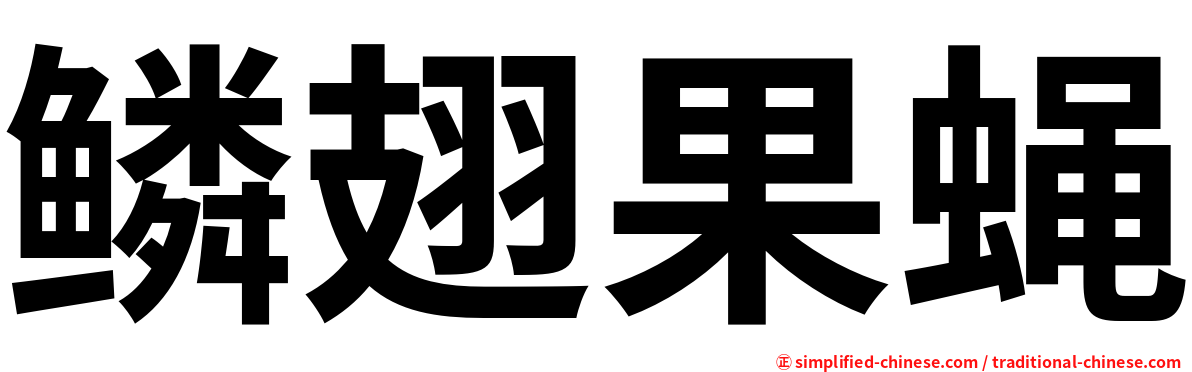 鳞翅果蝇
