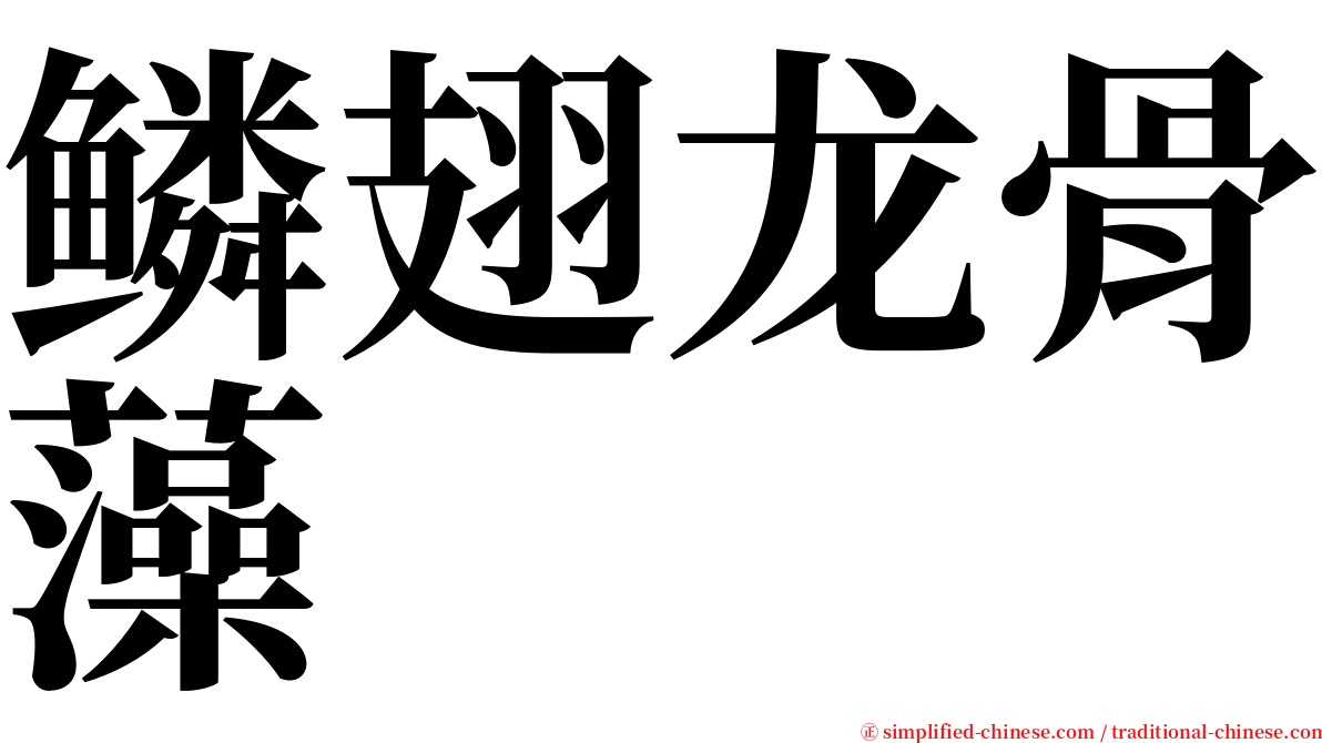 鳞翅龙骨藻 serif font
