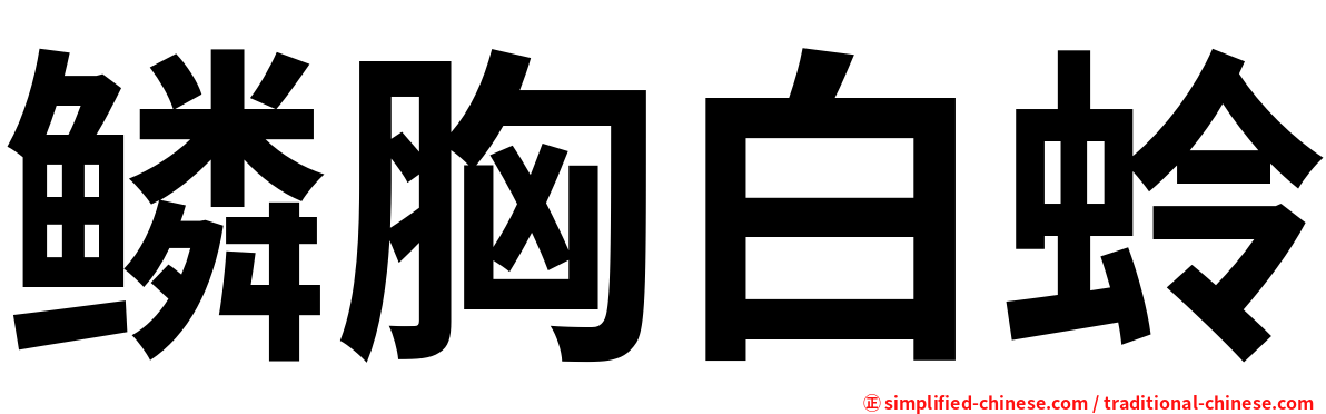 鳞胸白蛉