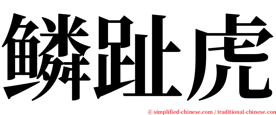 鳞趾虎 serif font