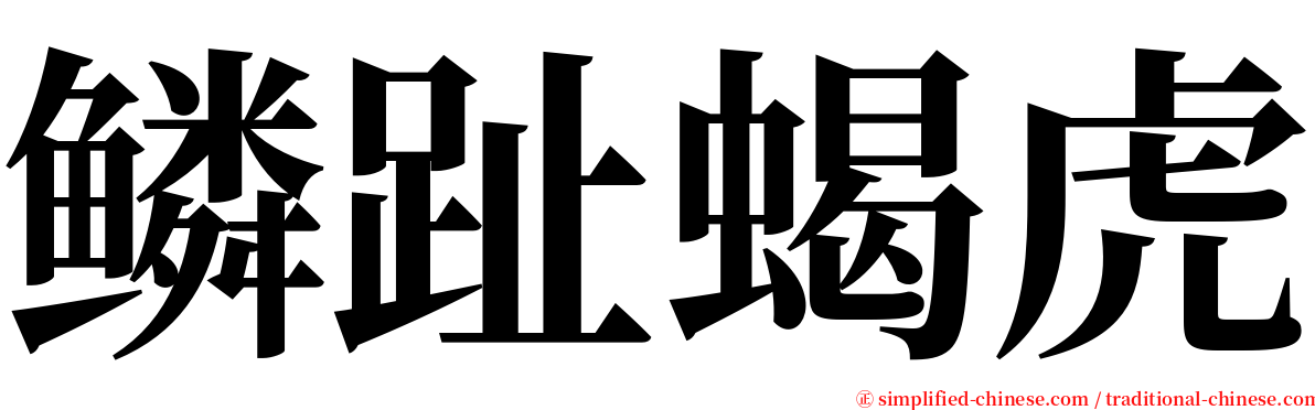 鳞趾蝎虎 serif font