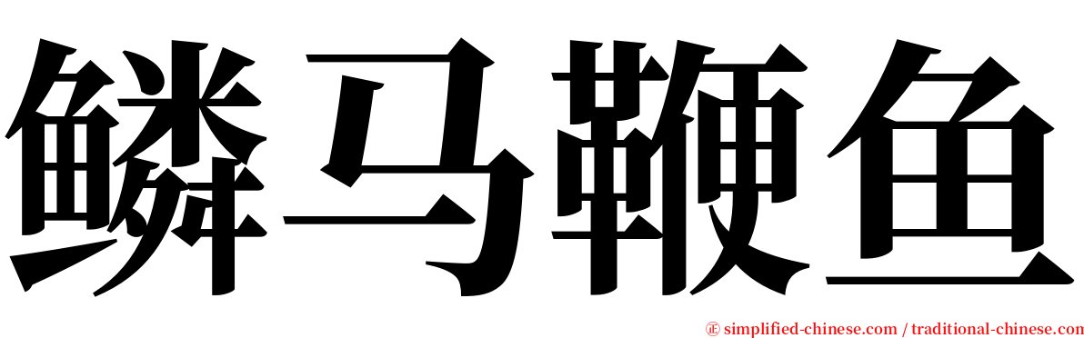 鳞马鞭鱼 serif font