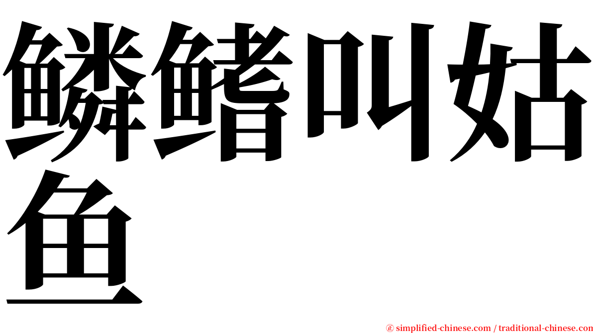 鳞鳍叫姑鱼 serif font