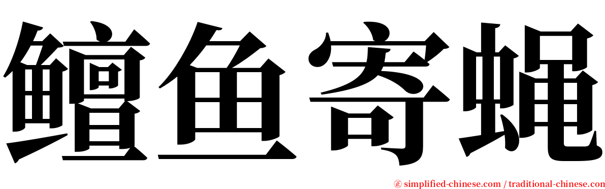 鳣鱼寄蝇 serif font