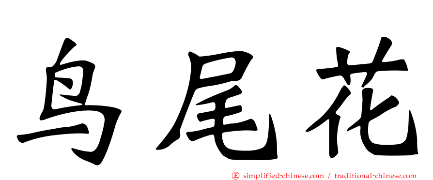 鸟尾花