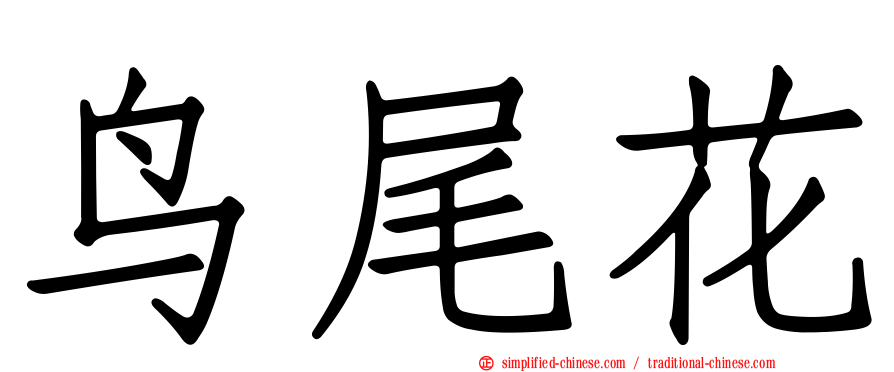 鸟尾花