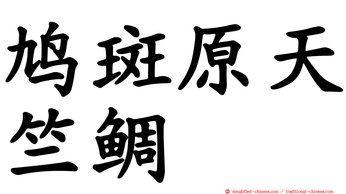 鸠斑原天竺鲷