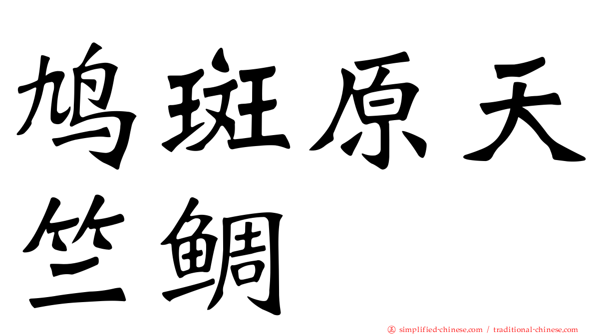 鸠斑原天竺鲷