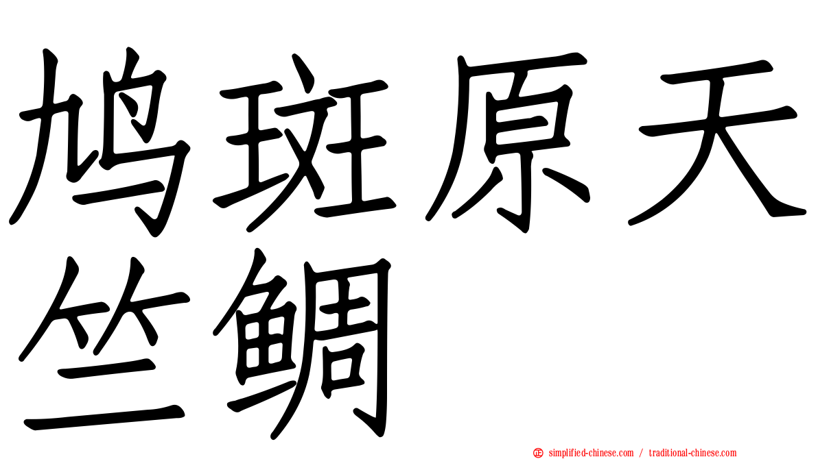 鸠斑原天竺鲷