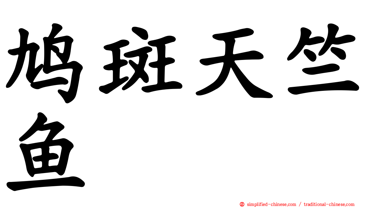 鸠斑天竺鱼