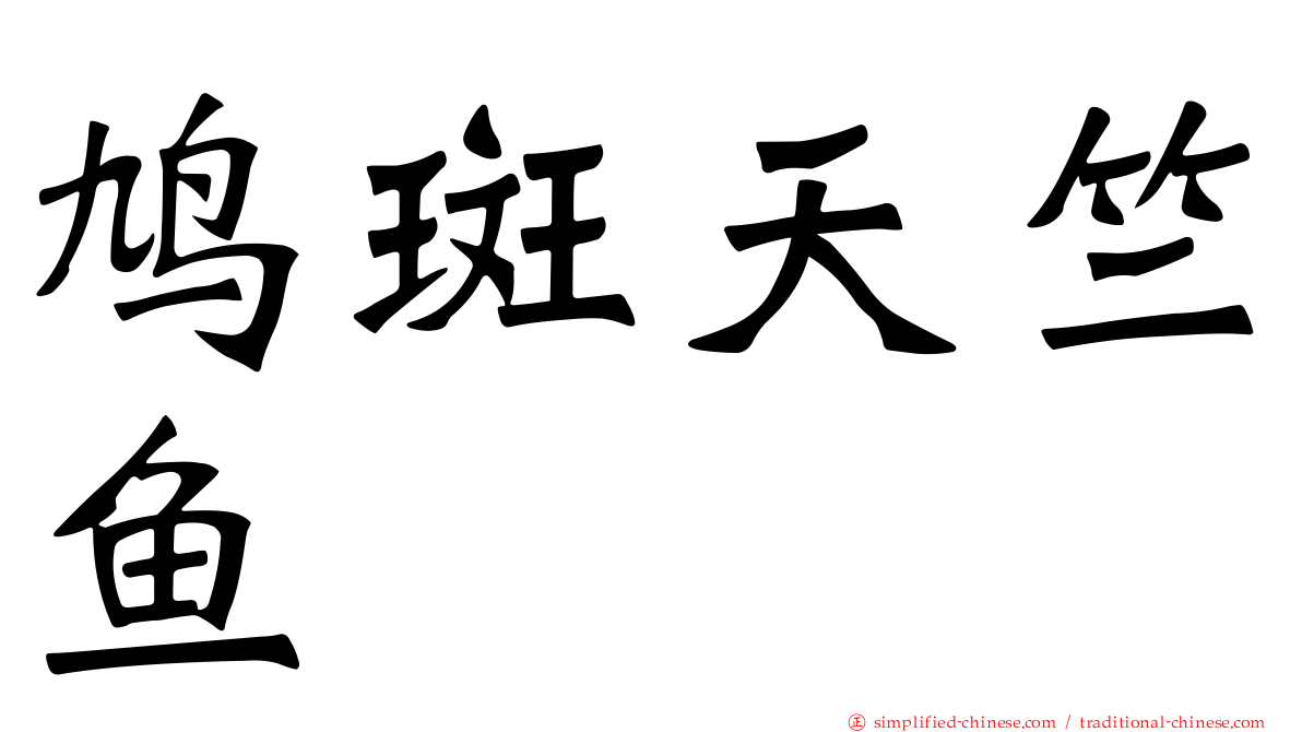 鸠斑天竺鱼