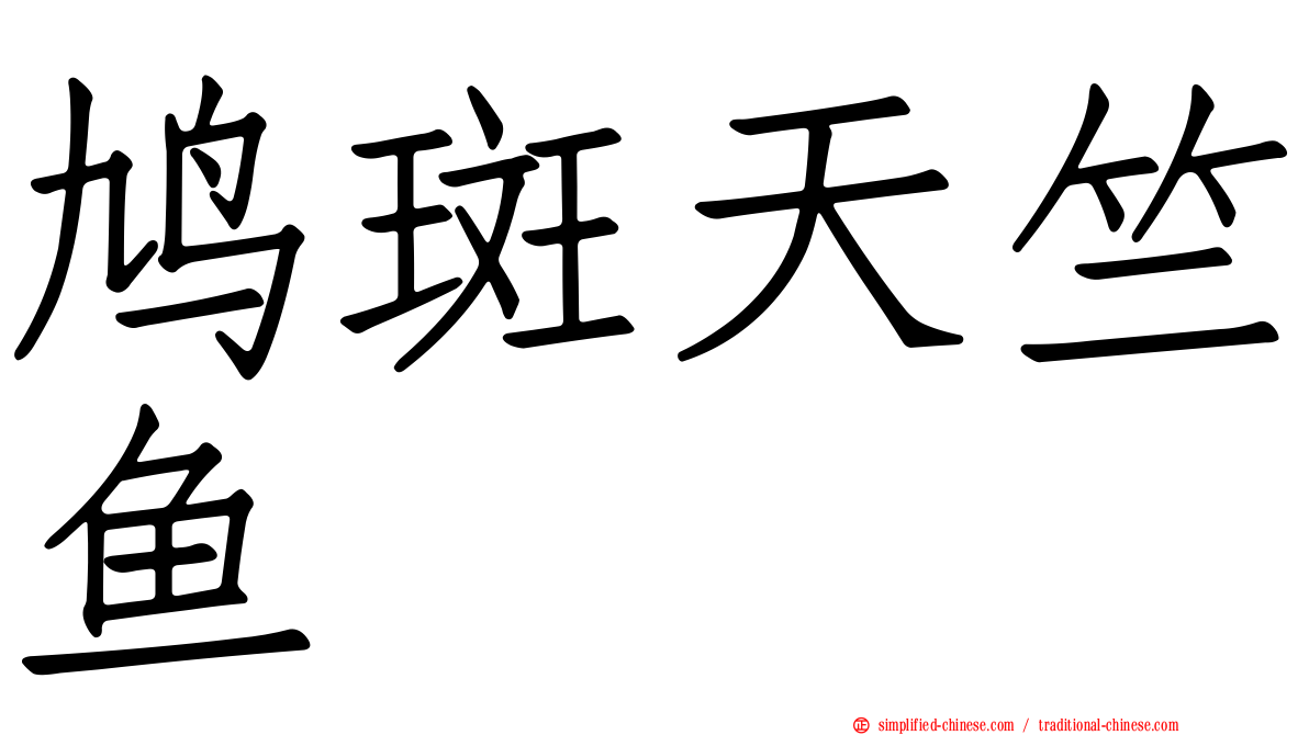 鸠斑天竺鱼
