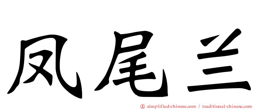 凤尾兰