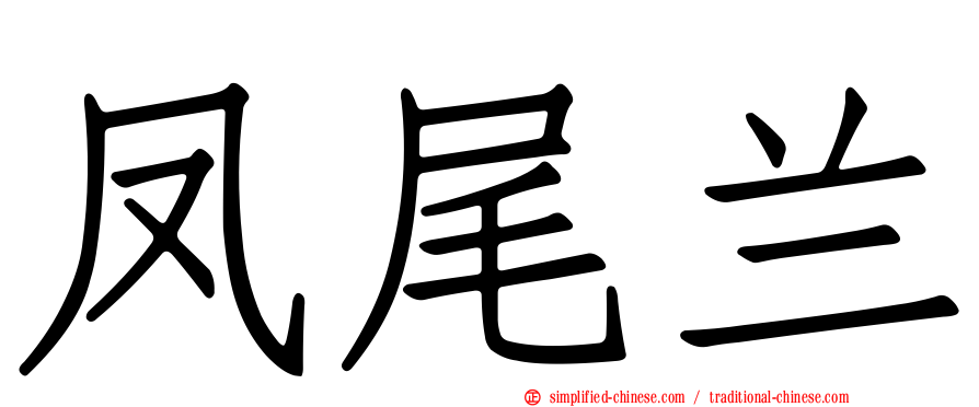 凤尾兰