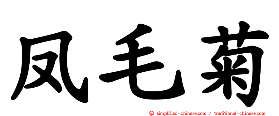 凤毛菊