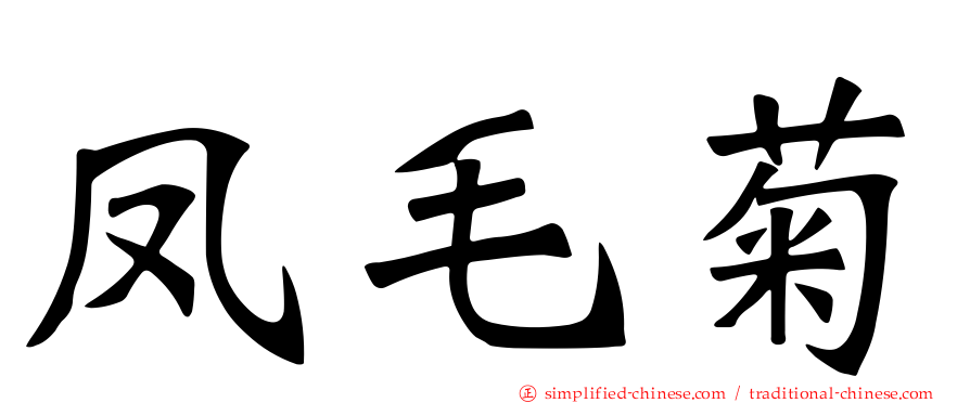 凤毛菊