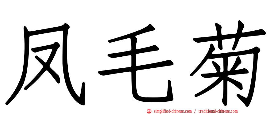 凤毛菊